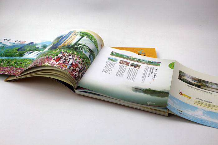 万家丽001 万家丽001